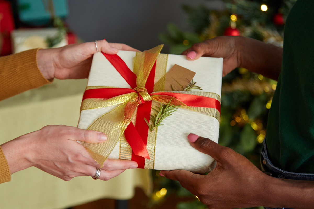 como participar de amigo da onça